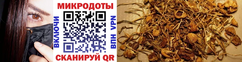 купить  цена  Ворсма  Псилоцибиновые грибы Psilocybe 